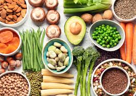 Plant Based Proteins vs Animal Based Proteins