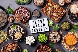 Plant Based Protein Sources